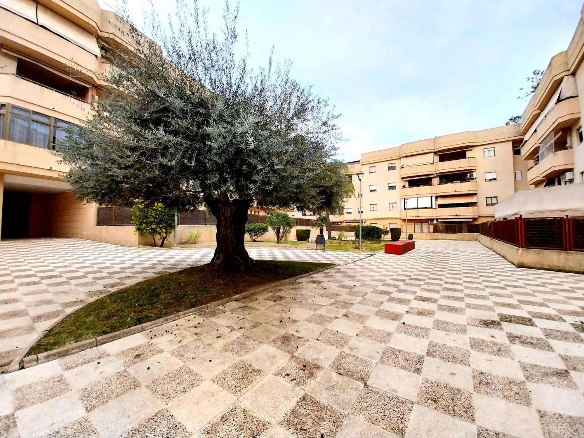 Top Suite Apartment Jerez Jardin Y Patio Херес-де-ла-Фронтера Экстерьер фото