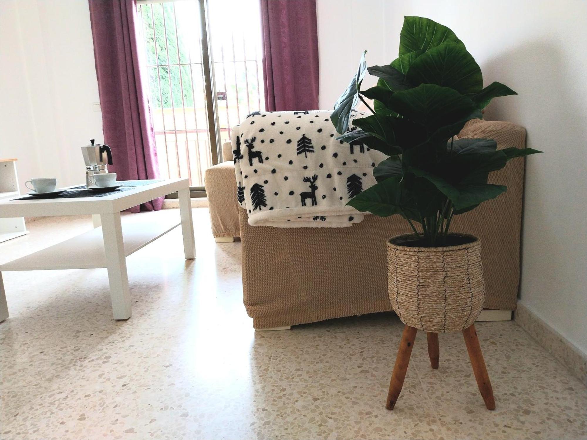 Top Suite Apartment Jerez Jardin Y Patio Херес-де-ла-Фронтера Экстерьер фото
